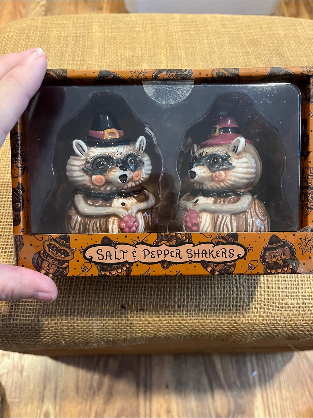Johanna Parker Raccoon Salt & Pepper Shaker Set